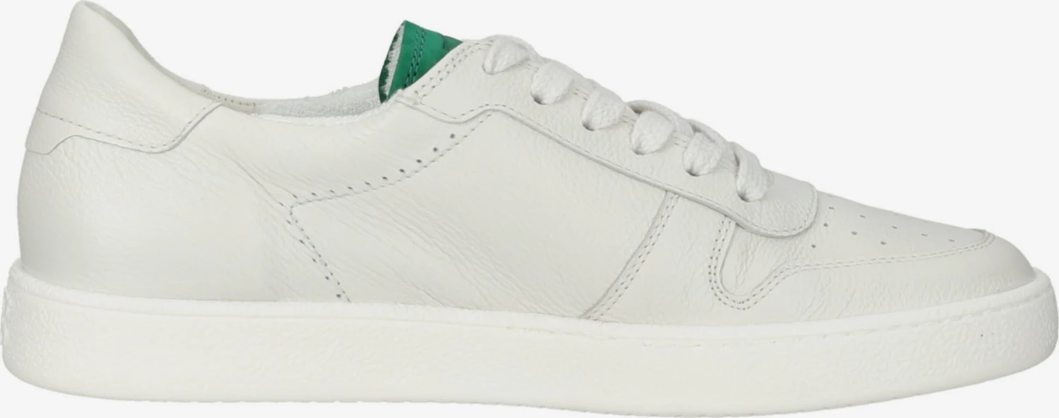 Paul Green Casual Sneakers Sneakers Laag Dames Lichtbeige 4 Paul Green Casual Sneakers Sneakers Laag Dames Lichtbeige - Afbeelding 4