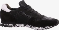 Paul Green Veterschoenen Sportieve Veterschoen Dames Zwart -Paul Green 7986714f2e3ebf1a77044ae627000754