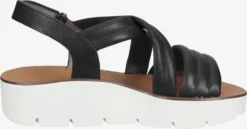 Paul Green Sandalen Met Hak Sandalen Met Riem Dames Zwart -Paul Green 7c106ea7990dc61a0d8c45893e18813b