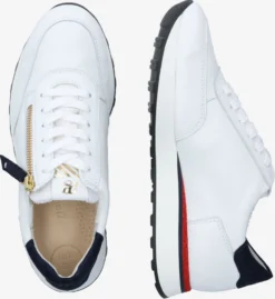 Paul Green -Paul Green 82bae054716fdc367d465c82e456f751 scaled