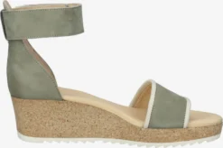 Paul Green Sandalen Met Hak Sandaal Dames Groen -Paul Green b7e78bc0f367ae768f0f3b43c3cd0219