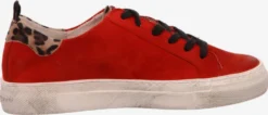 Paul Green Casual Sneakers Sneakers Laag Dames Vuurrood 8 Paul Green Casual Sneakers Sneakers Laag Dames Vuurrood -Paul Green c857d8bd80e6c200d0925f1debbd3de4