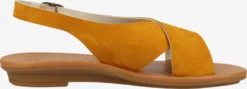 Paul Green Sandalen & Slippers Sandaal Dames Honing -Paul Green c9039fabd691f5a942c9dd12a11f85d8